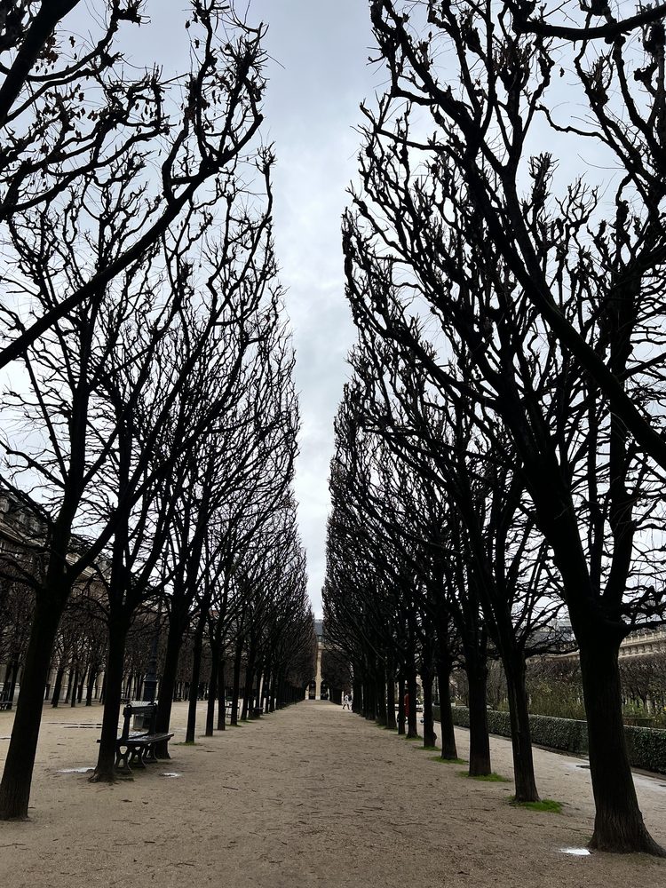 Les Jardins du Palais Royal