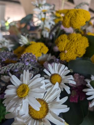 Sacramento’s Sunday Certified Farmers Market by null