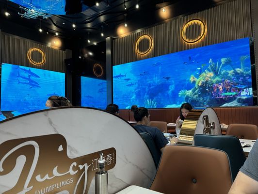 Juicy Dumplings by null