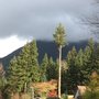 Photo of J B Tree Service
