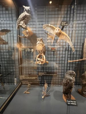The Peregrine Fund's World Center For Birds of Prey by null