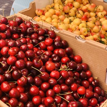 Davis Farmers Market - Fresh Cherries - Farmers Market Near Me - Davis, California Davis Farmers Market - Fresh Cherries - Farmers Market Near Me - Davis, California