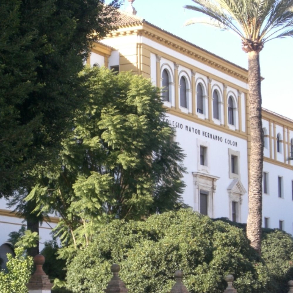 TOP 10 BEST Colegios near Cerro-Amate, Seville, Sevilla, Spain - Updated  2026 - Yelp