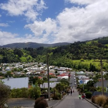 Baldwin Street - Great views of Dunedin neighborhoods. - Hotels & Travel Near Me - Dunedin, OTA