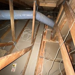 Greenstar Attic Insulation