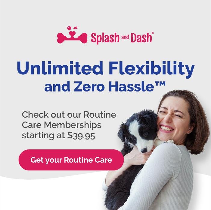 SPLASH AND DASH Updated September 2024 80 Burlington Mall Rd, Burlington, Massachusetts