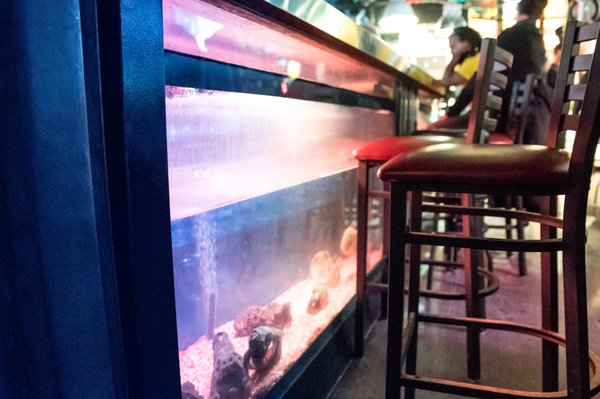 PIRANHA BAR - 26 Photos & 18 Reviews - Bars - 680 Rue Sainte-Catherine