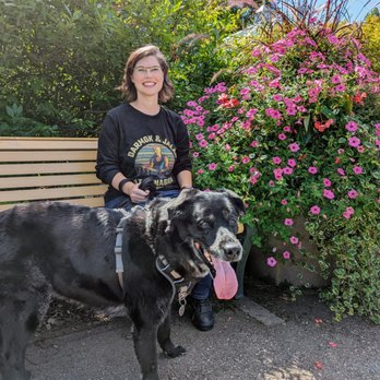 Nice Dog, Scarlett! - Pet Training Near Me - Ottawa, Ontario Nice Dog, Scarlett! - Pet Training Near Me - Ottawa, Ontario