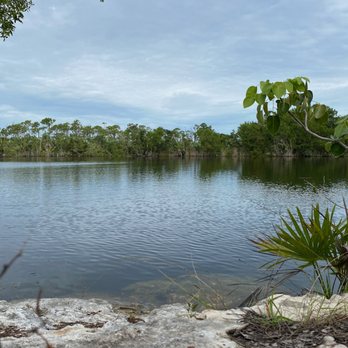 Blue Hole Observation Platform - Blue Hole (freshwater pond) - Hiking Near Me - Big Pine Key, Florida