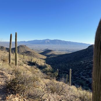 Wasson Peak - Amazing views - Hiking Near Me - Tucson, Arizona Wasson Peak - Amazing views - Hiking Near Me - Tucson, Arizona
