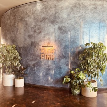 Hotel Haya - Hotels Near Me - Tampa, Florida