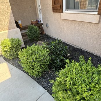 Chavez General Weed Whacking - Lawn Services Near Me Chavez General Weed Whacking - Lawn Services Near Me