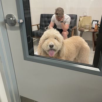 Veterinary Emergency Group - Emergency Pet Hospital Near Me - Miami, Florida