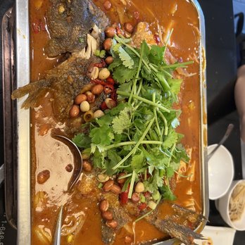 Chilispot - Grilled fish - Chinese Near Me - Orlando, Florida Chilispot - Grilled fish - Chinese Near Me - Orlando, Florida