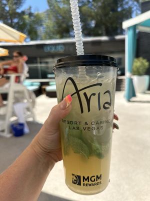 LIQUID Pool Lounge by null