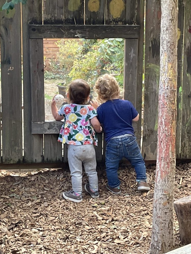 Wallingford Childcare Center - childcare center in Seattle, WA