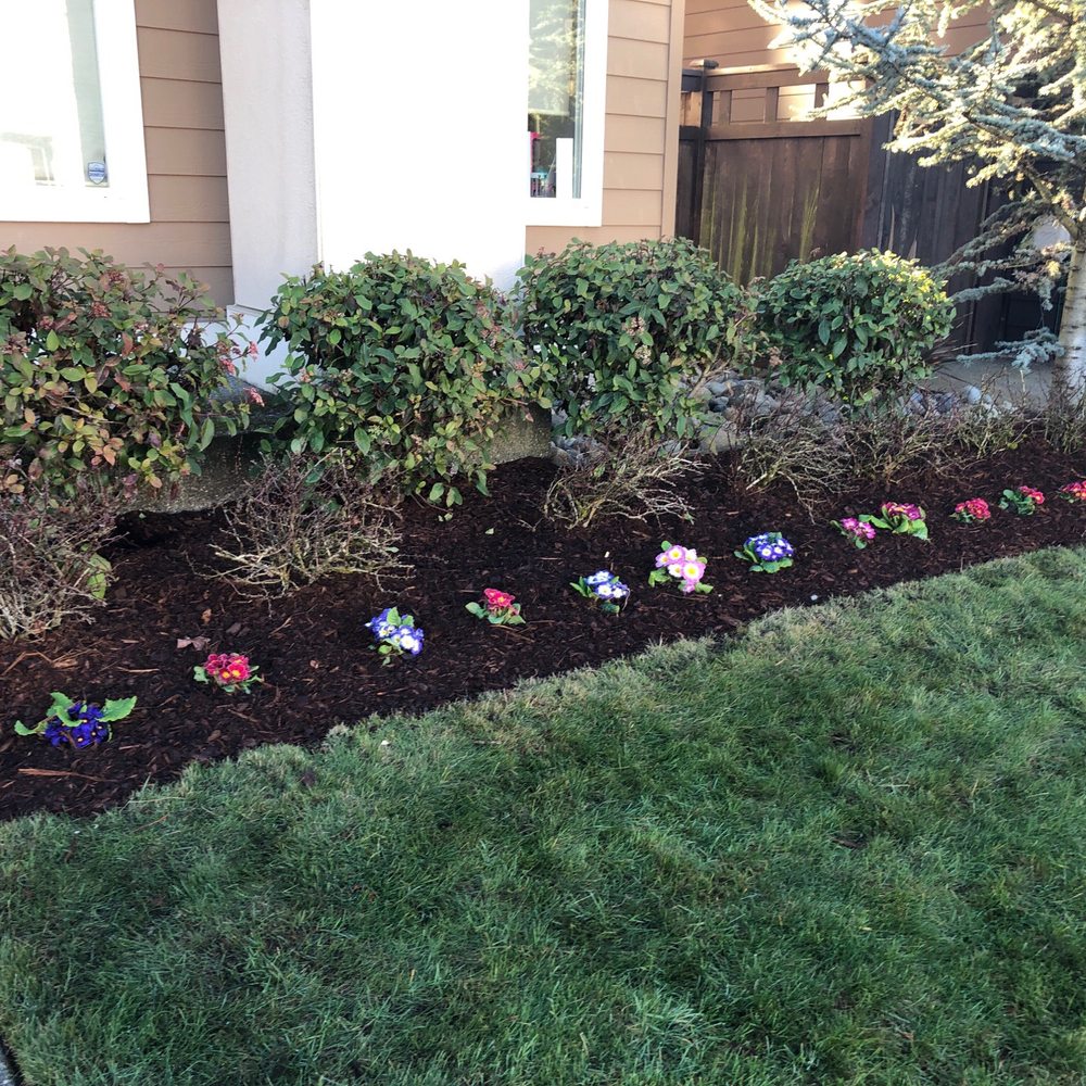 Spring Landscape - Edged, mowed yard, bushes trimmed and primroses planted with mulch added! - Irrigation Near Me Spring Landscape - Edged, mowed yard, bushes trimmed and primroses planted with mulch added! - Irrigation Near Me