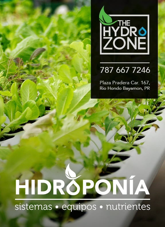 THE HYDRO ZONE Updated September 2024 Plaza Pradera, Bayamón