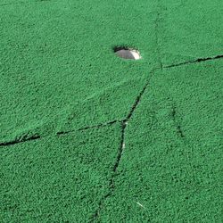 Katy Miniature Golf Batting Cages - Cracked turf make some some holes a pain to play