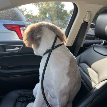 PetSmart - Pet Stores Near Me - Glendora, California