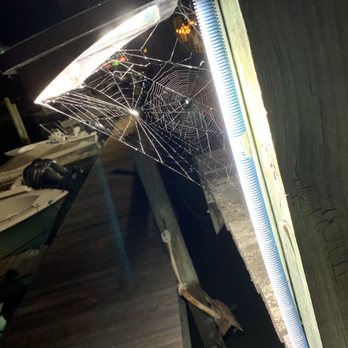 Team Veterans - Spider webs at the Marsh - Pest Control Near Me - Myrtle Beach, South Carolina Team Veterans - Spider webs at the Marsh - Pest Control Near Me - Myrtle Beach, South Carolina