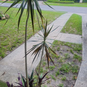 Brick's Quality Lawn Care Service - Lawn Services Near Me Brick's Quality Lawn Care Service - Lawn Services Near Me