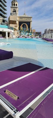 Boulevard Pool by null