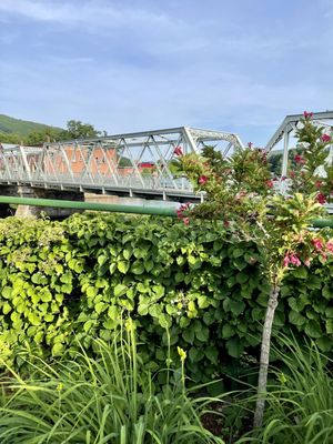 Bridge of Flowers by null