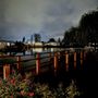 Photo of Lakewood Park