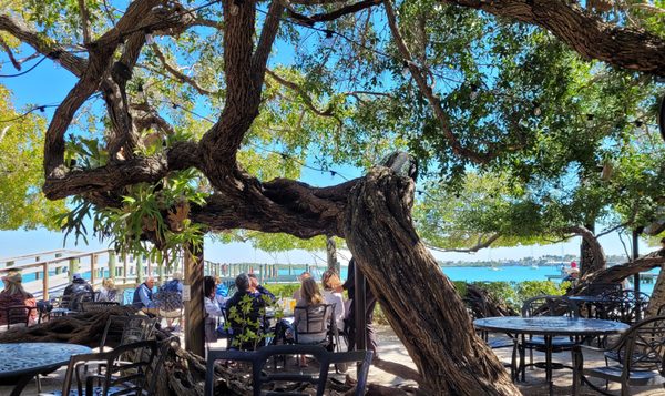 Mar Vista Dockside Restaurant & Pub by null
