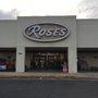 Photo of Roses