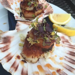 Pork Belly Tacos