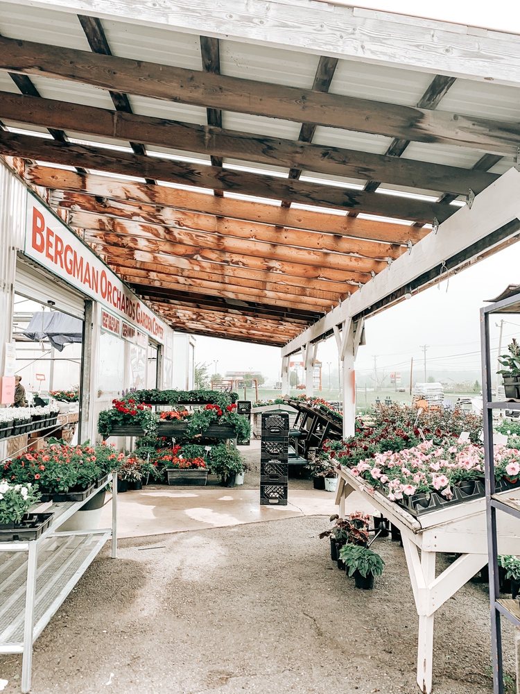 BERGMAN ORCHARDS Updated May 2024 39 Photos 600 SE Catawba Rd, Port Clinton, Ohio Fruits