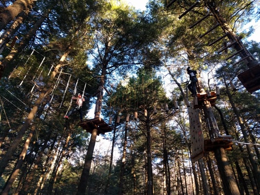 Ramblewild Adventure Park by null