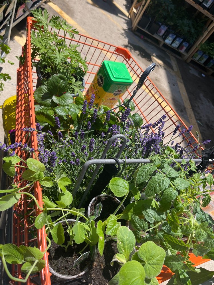 THE HOME DEPOT Updated August 2024 11 Photos & 20 Reviews 1990 Route 9, Howell, New Jersey