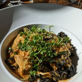 Marmo - Squid Ink Campanelle - Italian Near Me - Houston, Texas
