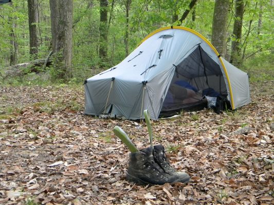 Wild Azalea Trailhead by null