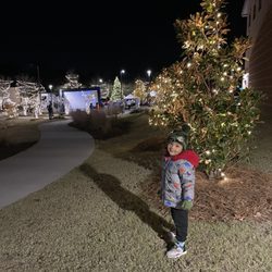 Christmas tree lighting