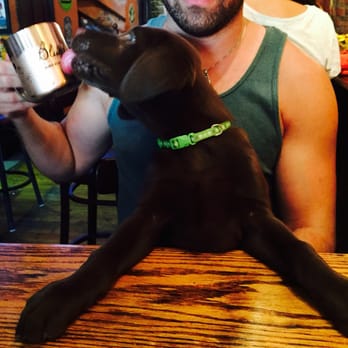 Brewer's Cask - A real dog bar! - Pubs Near Me - Baltimore, Maryland Brewer's Cask - A real dog bar! - Pubs Near Me - Baltimore, Maryland