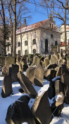 Jewish Museum in Prague by null