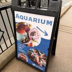 Sitka Sound Science Center - Signage for aquarium