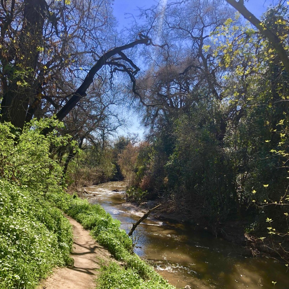 Dry Creek Trail - Another bike path with a nice view - Parks Near Me - Modesto, California Dry Creek Trail - Another bike path with a nice view - Parks Near Me - Modesto, California