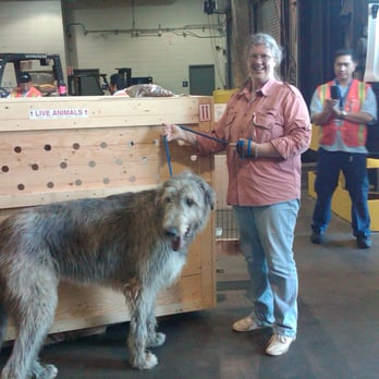 Airborne Animals - Big dogs too! - Veterinarians Near Me - Boonville, New Jersey Airborne Animals - Big dogs too! - Veterinarians Near Me - Boonville, New Jersey