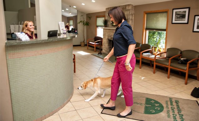 Riverside Drive Animal Care Center - pet boarding facility in Columbus, OH