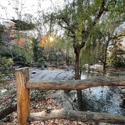 Tisch Children's Zoo