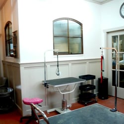The Grateful Pooch Grooming & Design - Inside The Grateful Pooch Salon! So cozy!