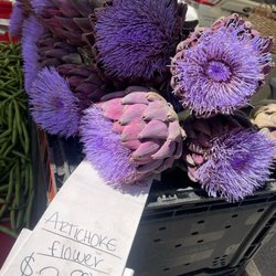 Calistoga Farmer's Market