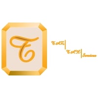 Taz Tax Services