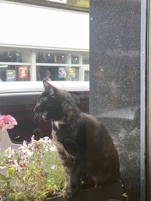 Coast Restaurant by null