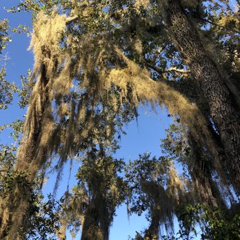 Maggy’s Hammock Park - Hiking Near Me - Stuart, Florida